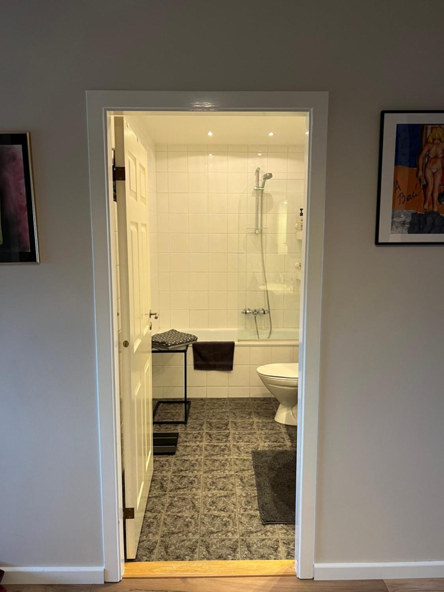 Viggsson Apartment レイキャヴィーク エクステリア 写真