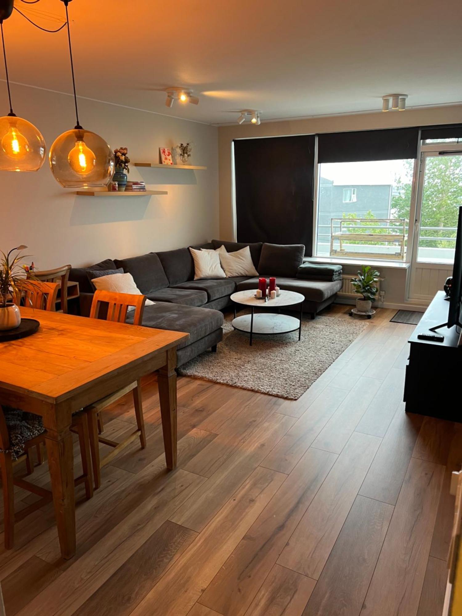 Viggsson Apartment レイキャヴィーク エクステリア 写真