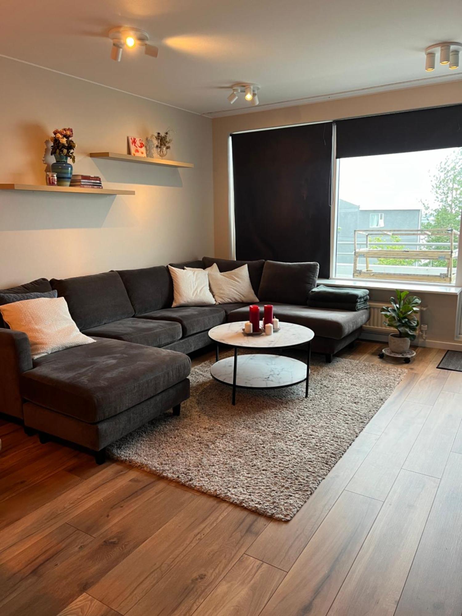 Viggsson Apartment レイキャヴィーク エクステリア 写真